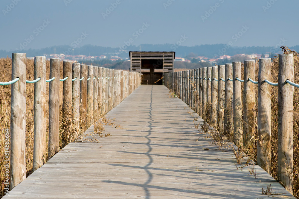 Fototapeta premium drewniane obserwatorium ptaków w rezerwacie przyrody Esmoriz w Portugalii