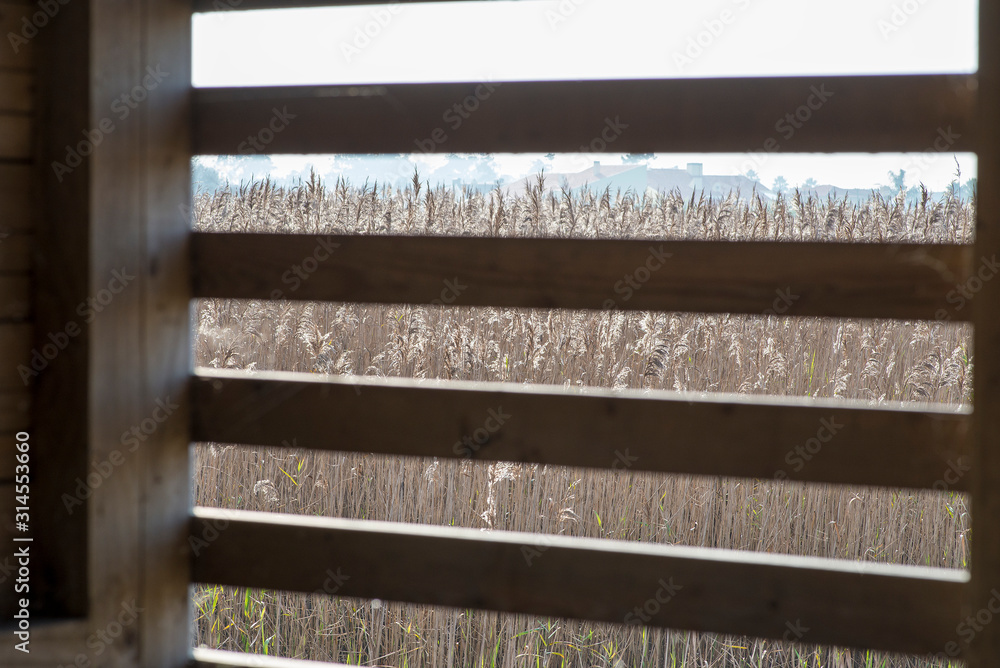 wooden bird observatory in the nature reserve wooden bird observatory in the nature reserve