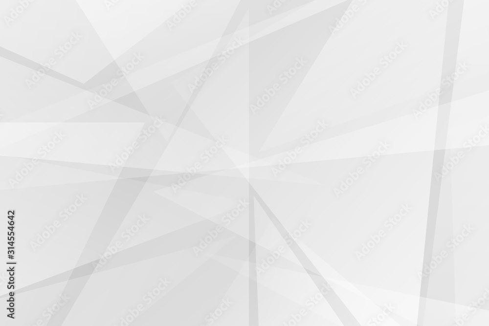 Obraz premium Abstract white and grey on light silver background modern design. Vector illustration EPS 10.