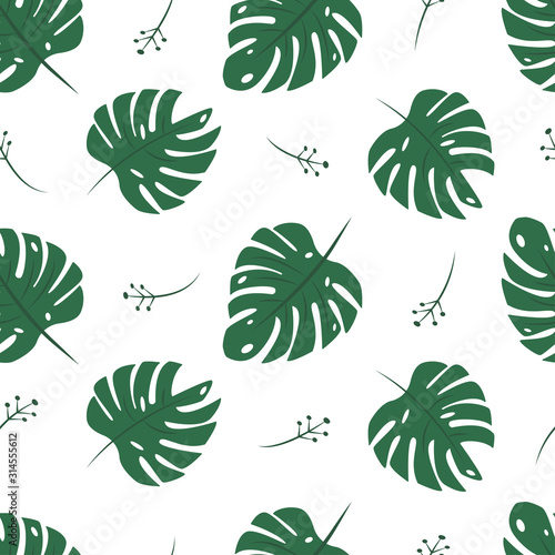 Green leaves of monstera on a white background. Seamless pattern background with tropic floral elements on white backdrop.