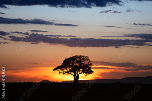 Golden Sunset in Kenya Africa
