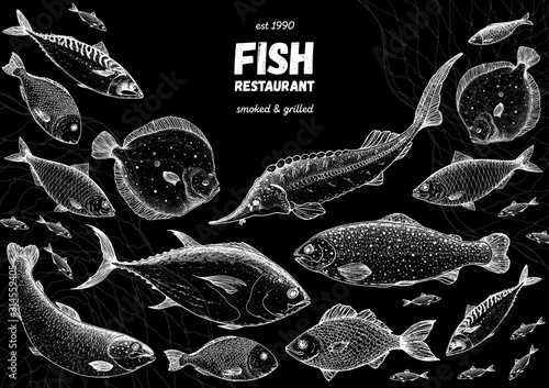 Fish sketch collection. Hand drawn vector illustration. Seafood frame vector illustration. Food menu illustration. Hand drawn salmon, mackerel, sturgeon, flounder, tuna. Engraved style. Engraved fish