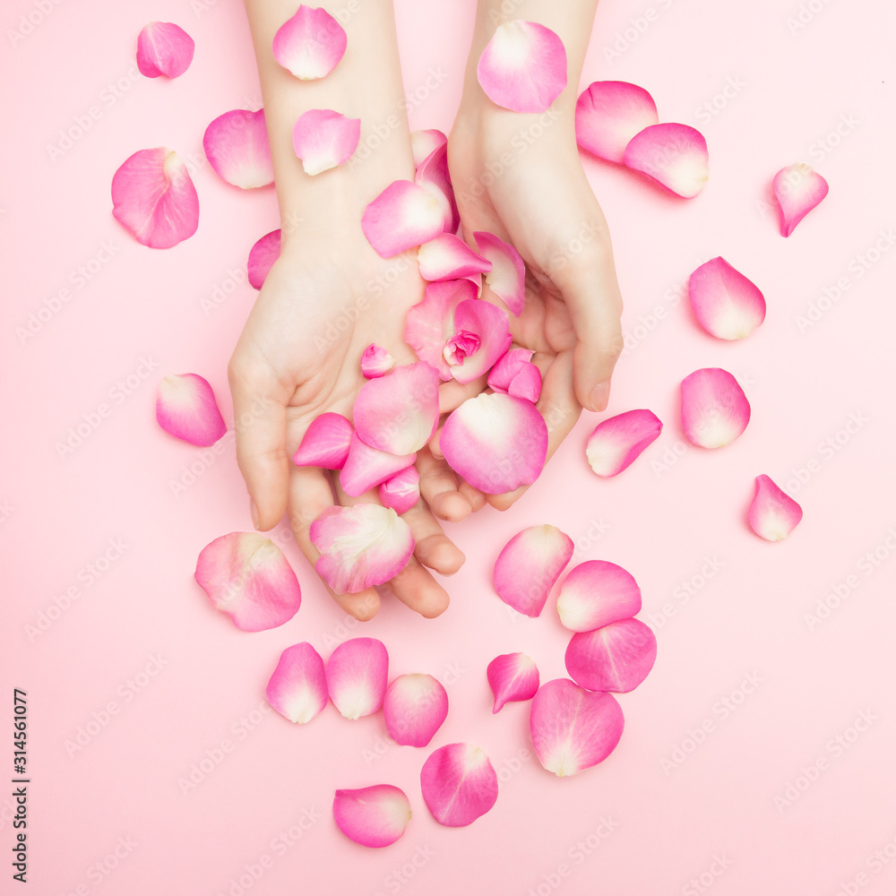 The woman hands hold rose flowers on a pink background. A thin wrist and natural manicure. Cosmetics for a sensitive skin care. Natural petal cosmetics, anti-wrinkle hand care. The woman hands hold rose flowers on a pink background. A thin wrist and natural manicure. Cosmetics for a sensitive skin care. Natural petal cosmetics, anti-wrinkle hand care.