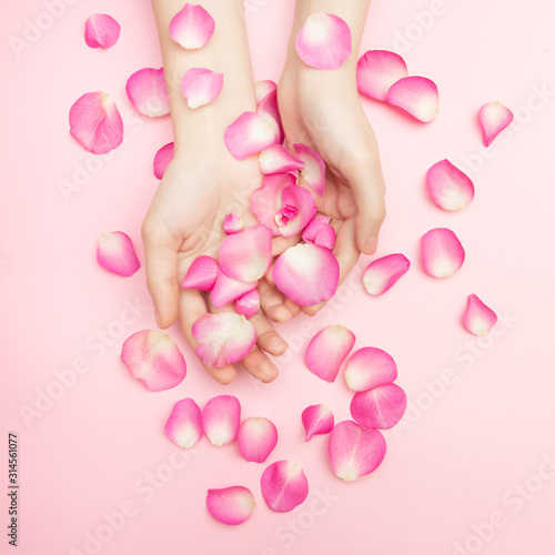 The woman hands hold rose flowers on a pink background. A thin wrist and natural manicure. Cosmetics for a sensitive skin care. Natural petal cosmetics, anti-wrinkle hand care.