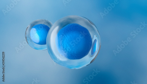 Human cell or Embryonic stem cell, 3d rendering