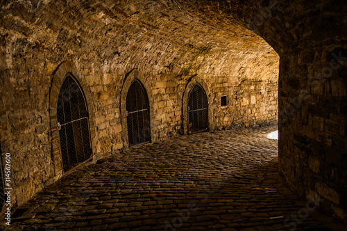 Mystical entrance into the medieval castle