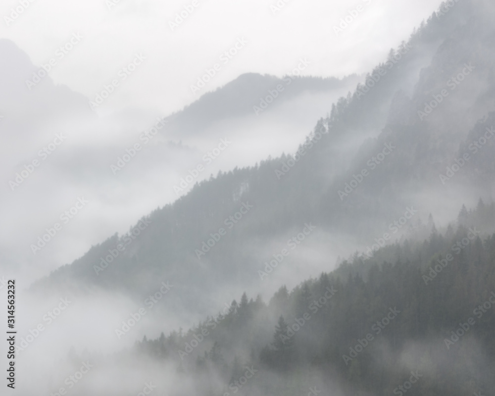Mountainside covered in Fog