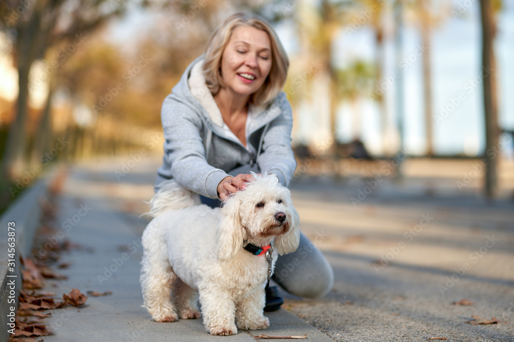 Elderly woman with a dog at outdoor. Focus on the dog. Elderly woman with a dog at outdoor. Focus on the dog.