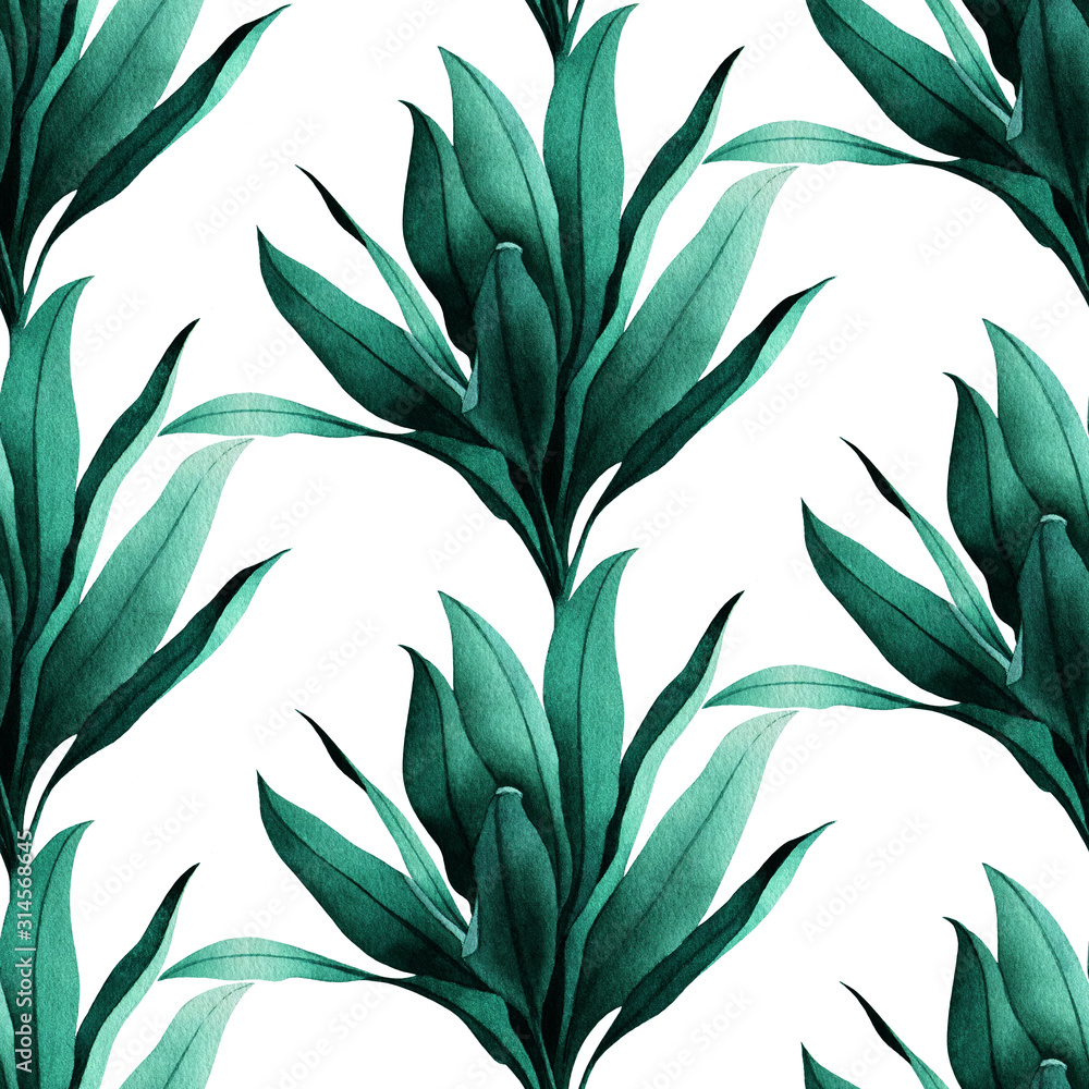 Fototapeta Tropikalny wzór z egzotycznych zielonych Ti 