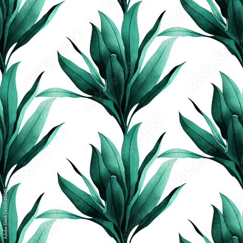 Fototapeta Tropikalny wzór z egzotycznych zielonych Ti 