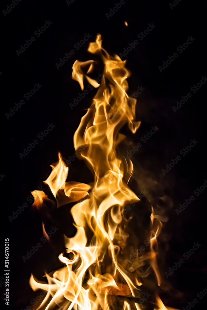 Fototapeta premium flames of fire on a black background