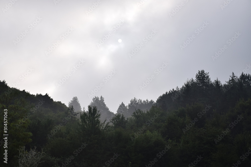 spooky fog in the heart of Bulgaria