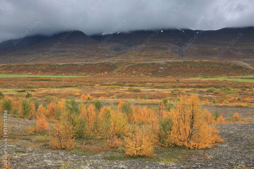 Autumn colours in Iceland, Europe