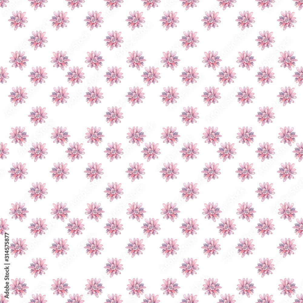 This Modern Pink and Purple Floral Pattern Features a Repeating Flower Background Design with Pastel Colors. Watercolor lotus and cactus flowerts colorful illustration for wedding, clebration, invite This Modern Pink and Purple Floral Pattern Features a Repeating Flower Background Design with Pastel Colors. Watercolor lotus and cactus flowerts colorful illustration for wedding, clebration, invite