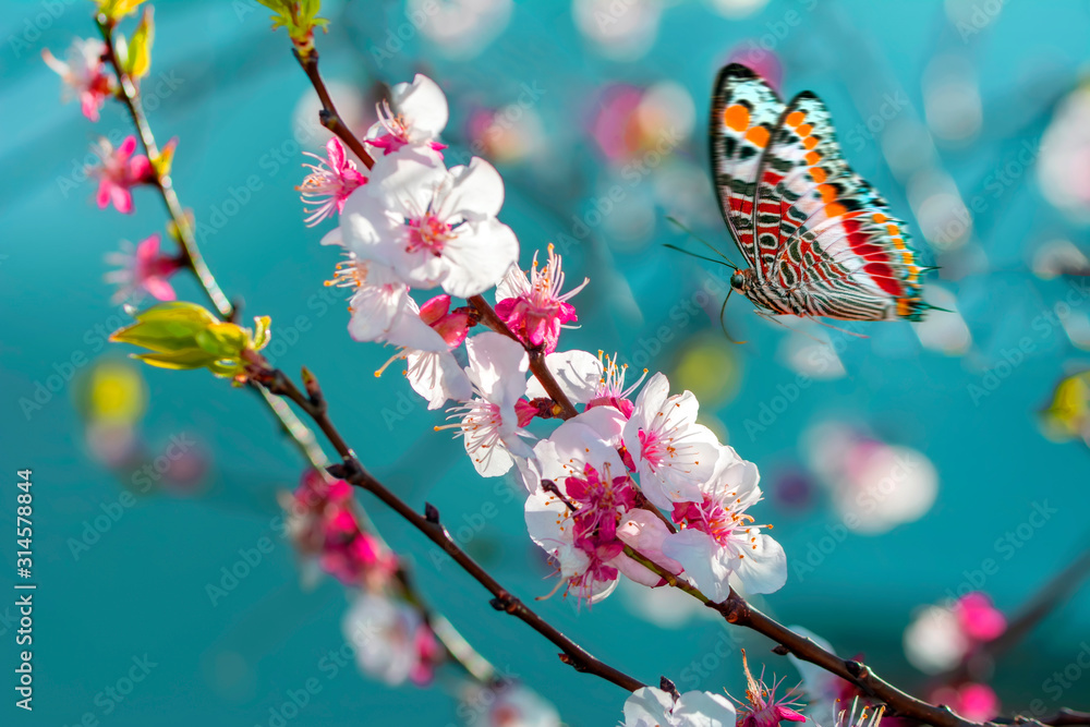 Fototapeta Flowers and monarch butterfly. On blue sky background. Mock up template. Copy space for your text