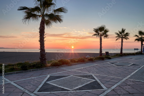 sunrise in puerto Banus at the beach with a palm tree from the promenade photo
