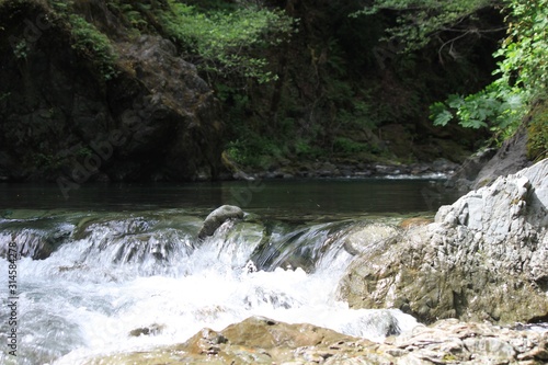 Small Falls