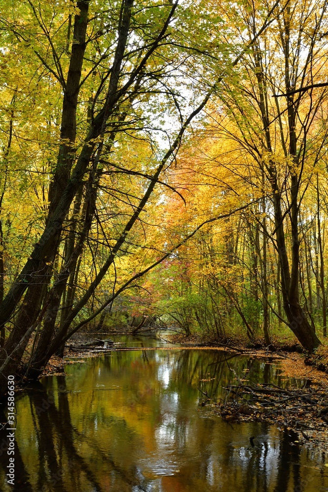 Daytime photo of Cobus Creek in Elkhart, Indiana in autumn with surrounding forest and beautiful fall colors in the trees Daytime photo of Cobus Creek in Elkhart, Indiana in autumn with surrounding forest and beautiful fall colors in the trees