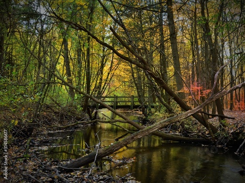 Daytime photo of Cobus Creek in Elkhart, Indiana in autumn with bridge in the background and surrounding forest with beautiful fall colors in the trees