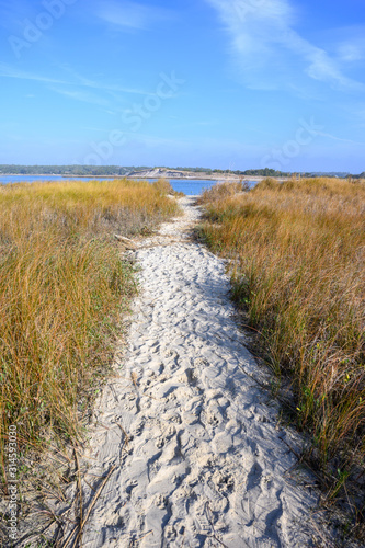 Fototapeta Naklejka Na Ścianę i Meble -  Sandy foot path through the beach grass. Heading toward the waters edge past the sand dunes.