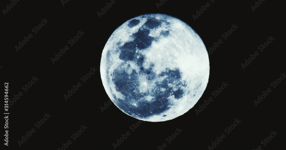 Fototapeta premium Od święta