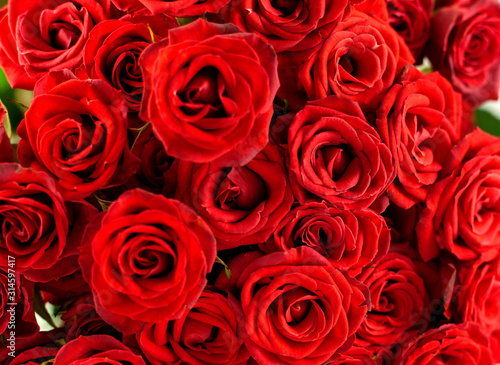 Close up view of natural red roses. Bouquet of red roses on background for Valentine day  love  wedding  anniversary. Valentin s Day concept