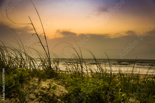 Close up of a sand dune with water and clouds in background at sunrise