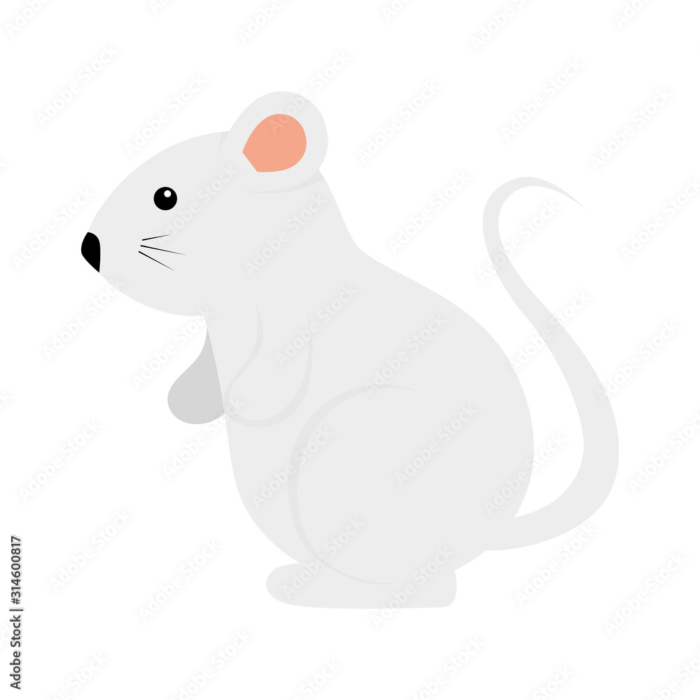 cute rodent rat isolated icon cute rodent rat isolated icon