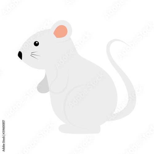 cute rodent rat isolated icon © Gstudio