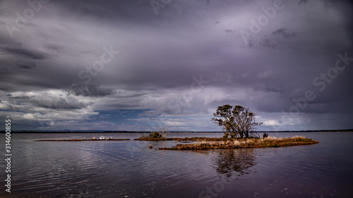 Small island in estuary with cloudy sky © Suzanne