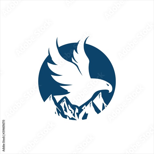 blue hawk falcon eagle vector Logo design icon illustration Template