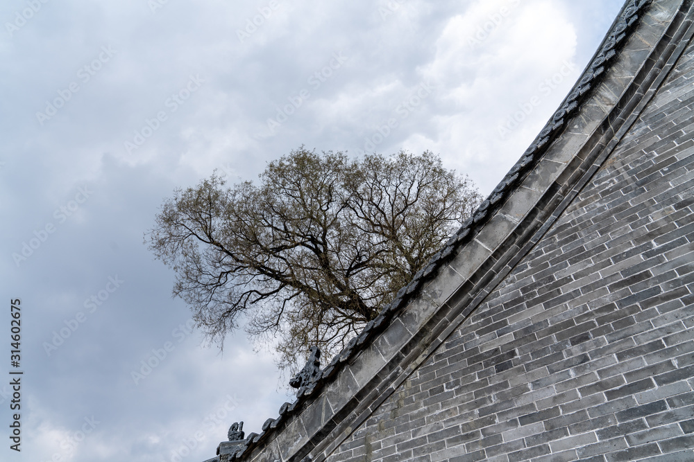 The brick walls and trees under the sky The brick walls and trees under the sky