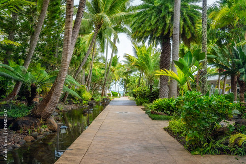 A path at the tropical garden on a beautiful day at Anse Vata Bay in Noumea  French Polynesia  South Pacific Ocean.