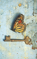 Fototapete Schmetterlinge im Grunge Vintage Stillleben Schmetterling und Schlüssel  © KHBlack