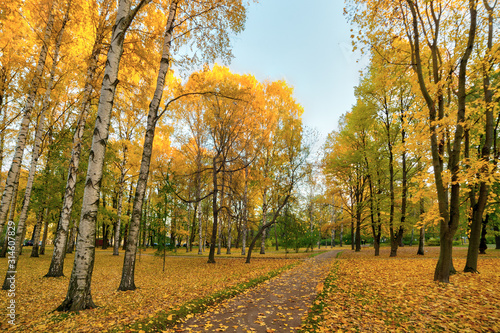 landscape in autumn park