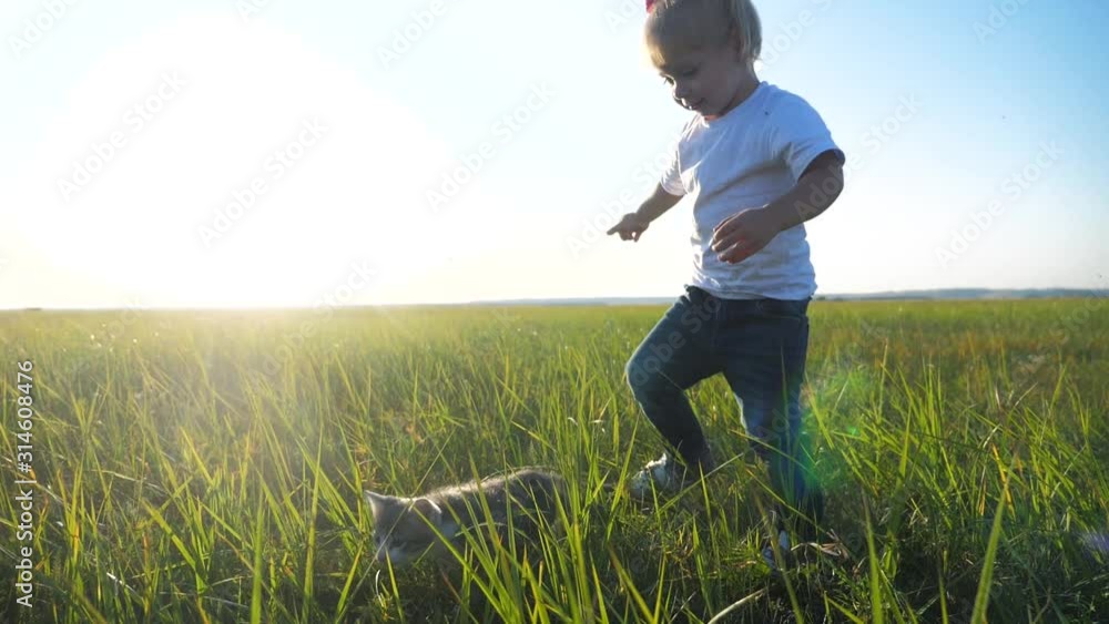 little girl cat nature concept happy family slow motion video lifestyle. girl child blonde plays with a little kitten on the nature sunset summer in lifestyle the park. little girl are playing with little girl cat nature concept happy family slow motion video lifestyle. girl child blonde plays with a little kitten on the nature sunset summer in lifestyle the park. little girl are playing with