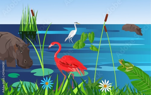 Pink flamingo and white heron birds stands on the lake waters, nature wildlife scene vector