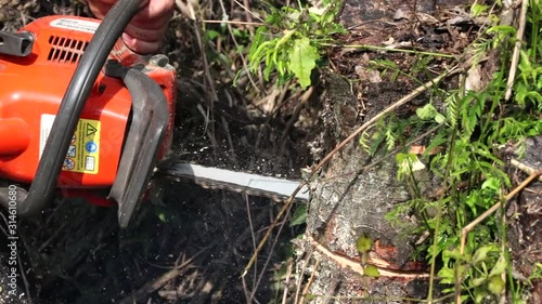 Wallpaper Mural Electric saw moto serra Torontodigital.ca