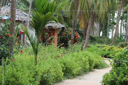 Beautifu view of palnts and trees. What a beauty of nature 