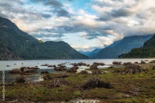 Tree stumps from logging along the shore of a beautiful lake with mountains on Vancouver Island.