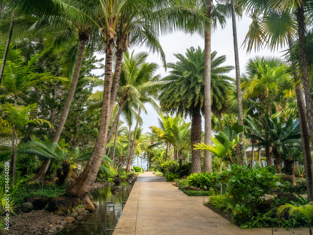 Fresh tropical garden on a beautiful day with some rain in Noumea, French Polynesia, South Pacific Ocean.