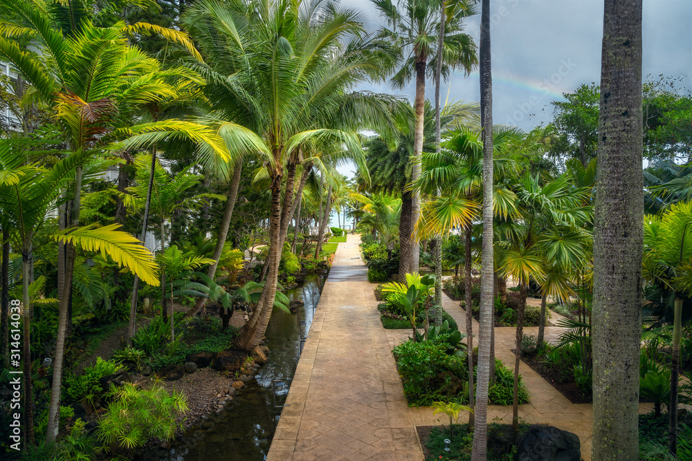 A path at the tropical garden after rain with a rainbow in the background in Noumea, New Caledonia, French Polynesia, South Pacific Ocean.