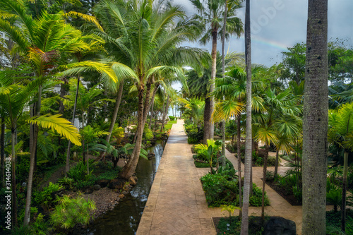 A path at the tropical garden after rain with a rainbow in the background in Noumea  New Caledonia  French Polynesia  South Pacific Ocean.