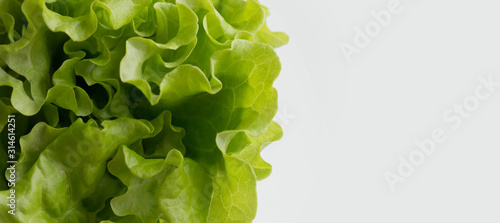 fresh green salad on a white background