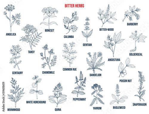 Bitter herbs collection