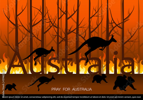 Pray for Australia Concept banner. Forest in fire burning with kangaroo and koala silhouettes.vector illustration photo