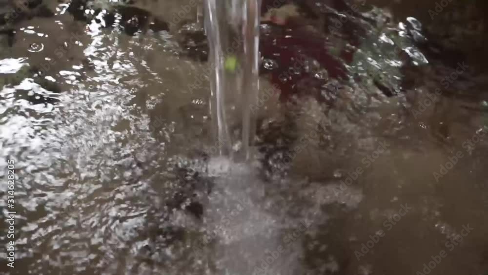 water flows in the forest spring water flows in the forest spring