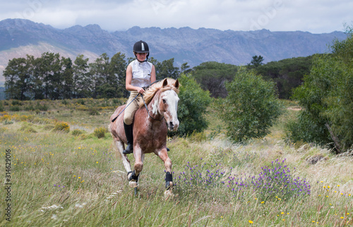 Girl galloping on a Sabino paint horse in the field bareback and without a bridle towards the camera.