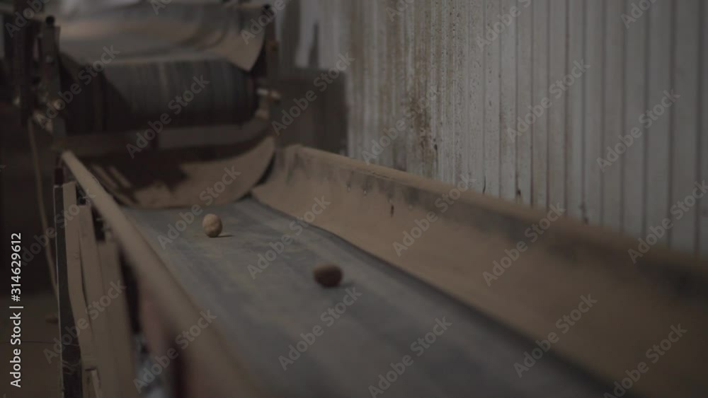 a mechanical machine for the selection and sorting of potatoes a mechanical machine for the selection and sorting of potatoes