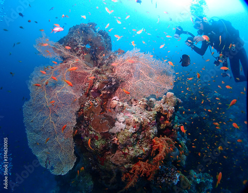 Scuba Diving Red Sea Egypt